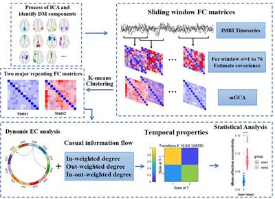 Altered dynamic effective connectivity of the default mode network in type 2 diabetes